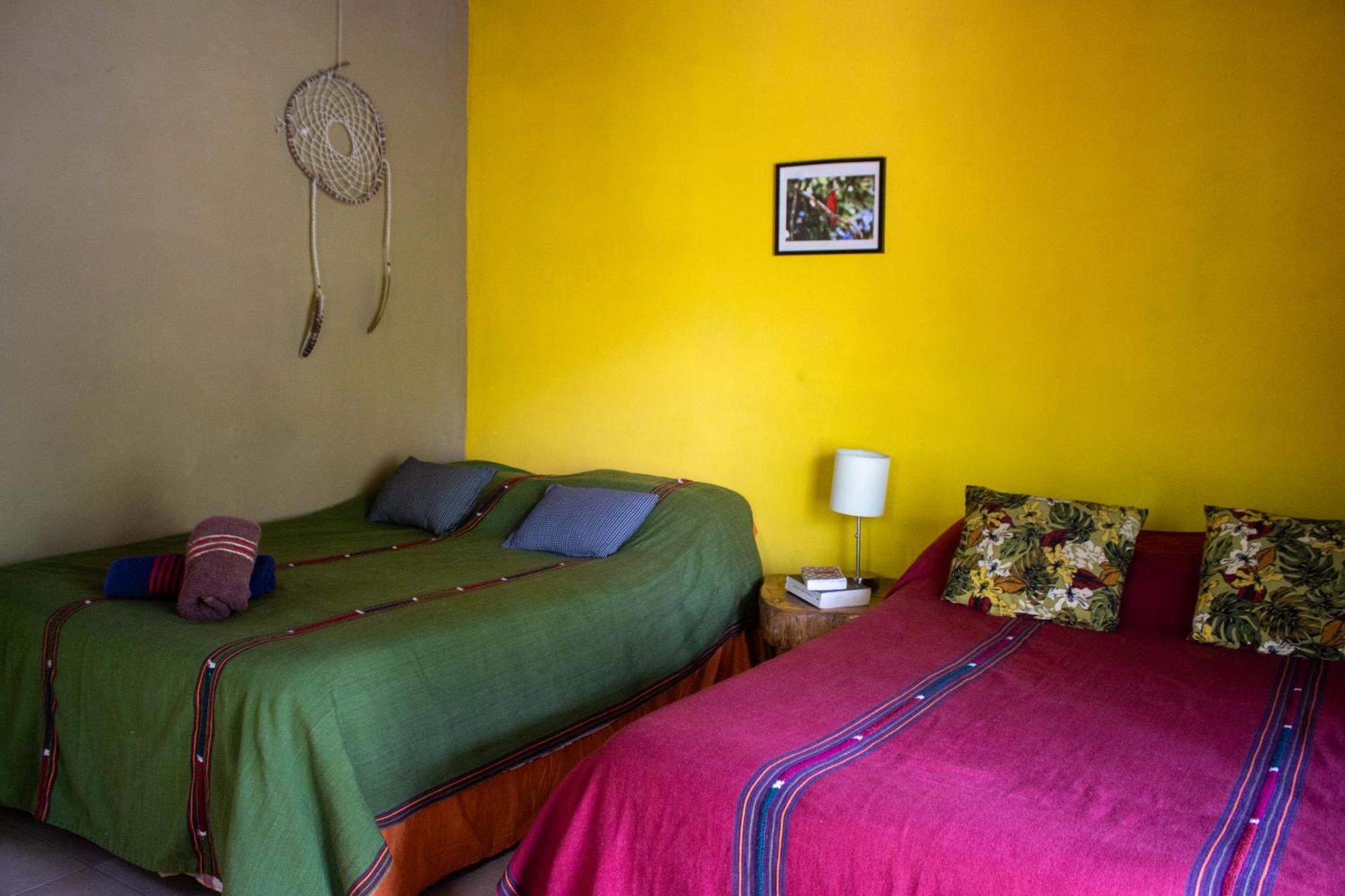 Alice Guesthouse El Remate Zewnętrze zdjęcie