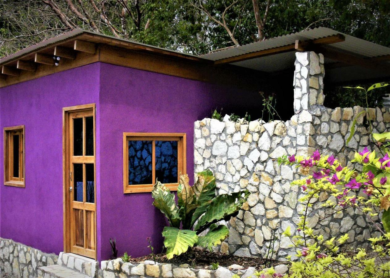 Alice Guesthouse El Remate Zewnętrze zdjęcie